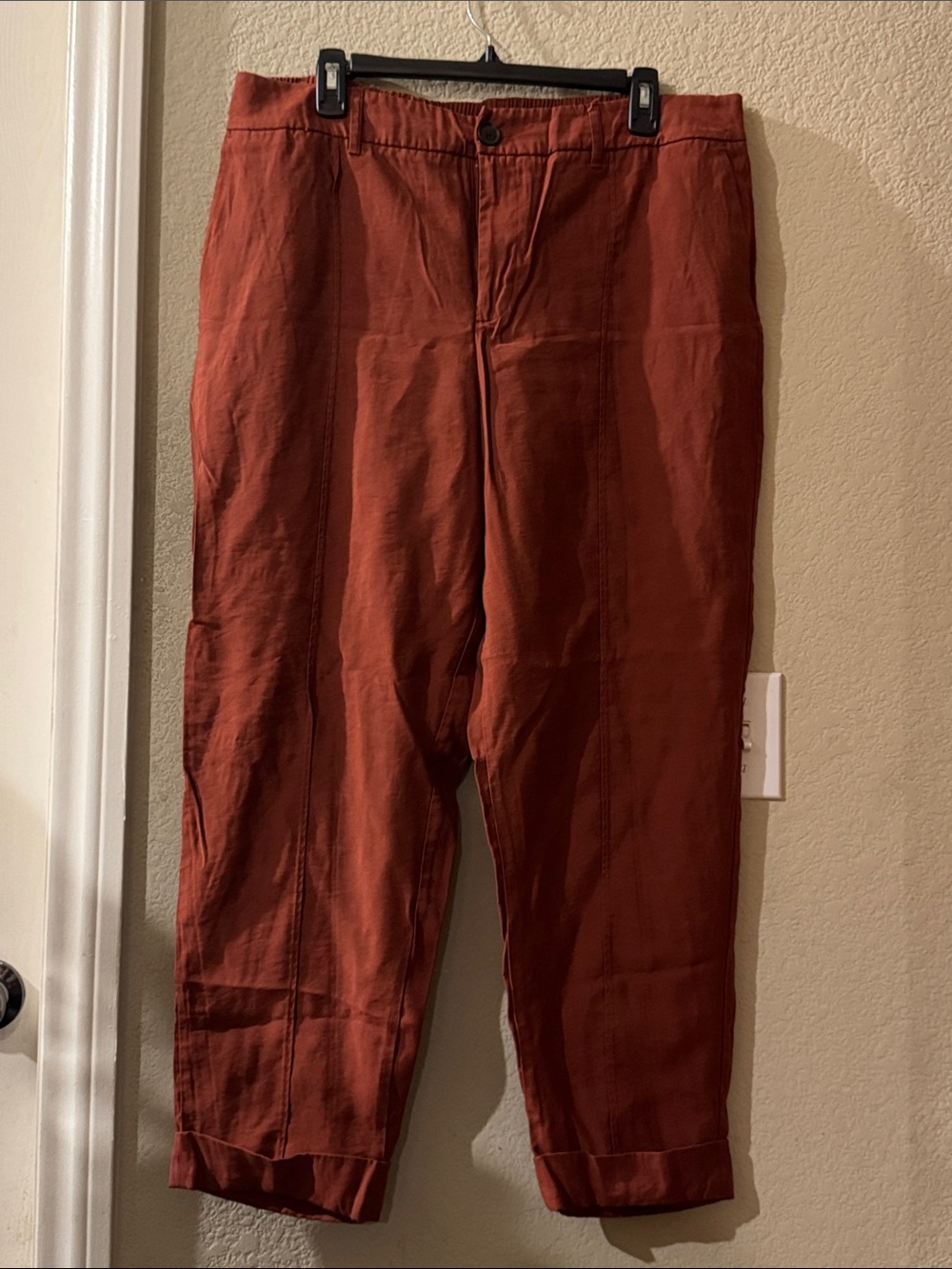 A New Day High-Rise Elastic Waistband in Back Tapered Rust Pants